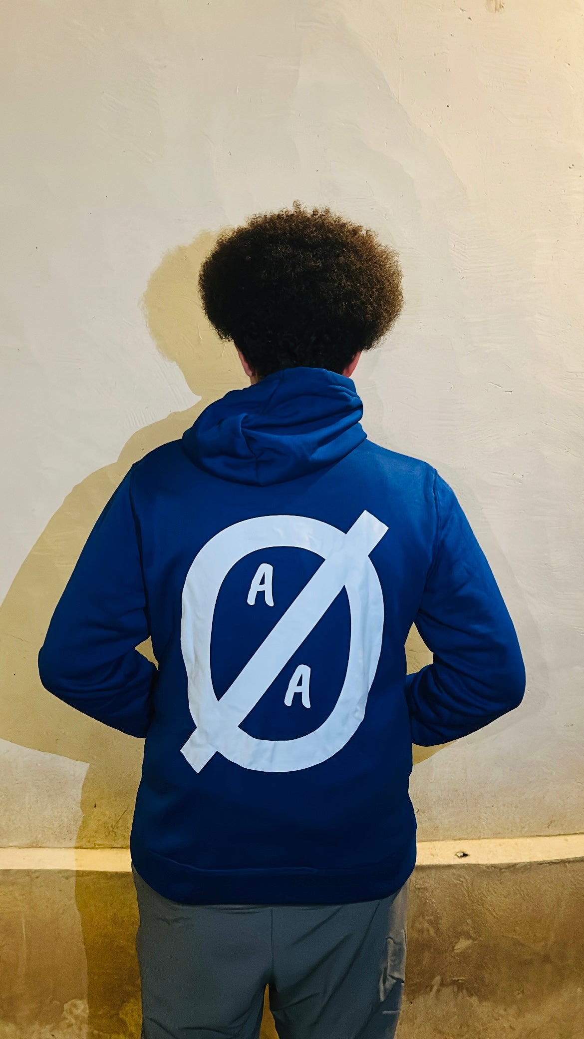 Pull Bleu AØA